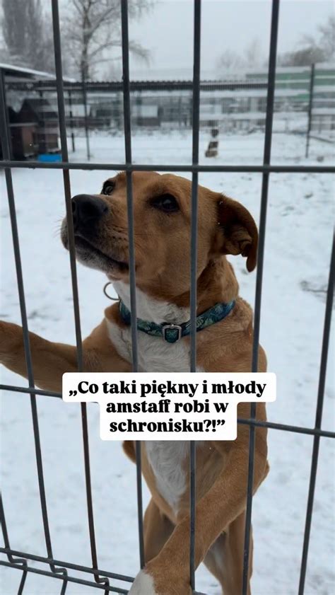 Ilustracja przedstawiająca drogę prowadzącą do odległego, lekko zaniedbanego domu na wsi, z widocznym zachodzącym słońcem.