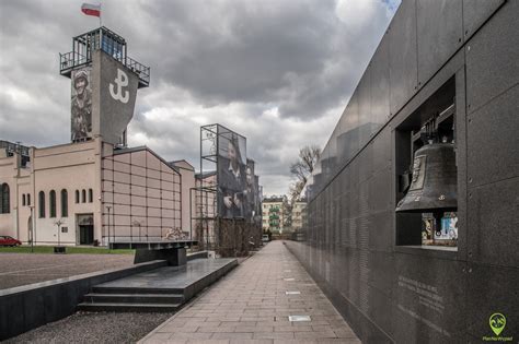 Ilustracja przedstawiająca Muzeum Warszawy
