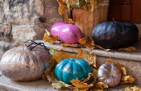 Kolorowe pole pełne dojrzałych dyń, niektóre ozdobione na Halloween