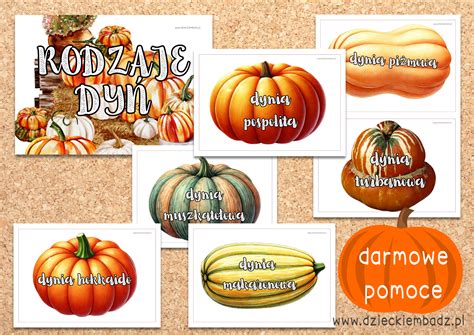 zdjęcie przedstawiające różne rodzaje wydrążonych dyń na Halloween