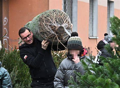 Zdjęcie uśmiechniętej rodziny wybierającej żywą choinkę na plantacji.