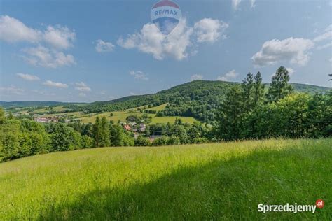 Panorama miejscowości Kiermusy z otaczającymi ją terenami zielonymi i budynkami w stylu dworskim
