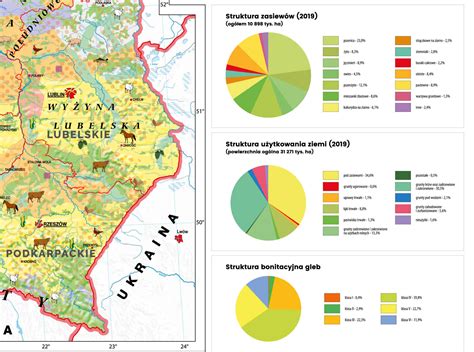 Mapa przedstawiająca główne regiony produkcji sztucznych choinek w Chinach.