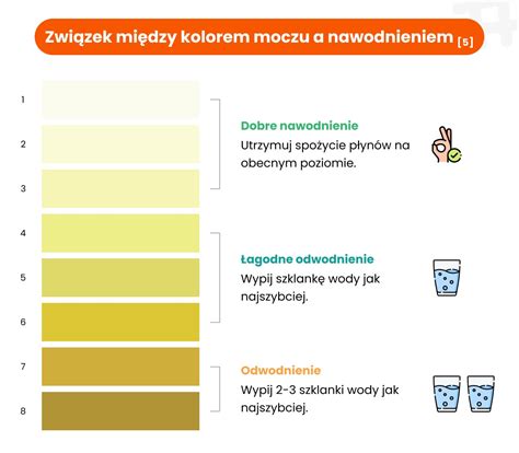 Infografika porównująca liczbę mikcji i objętość moczu u osoby zdrowej i z problemami.