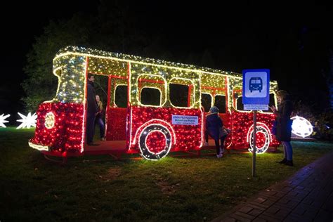 zdjęcie iluminacji świetlnych w parku