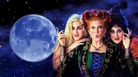 Zrzut ekranu gry Hocus Pocus Halloween, pokazujący kilka odwróconych kart z motywami Halloween