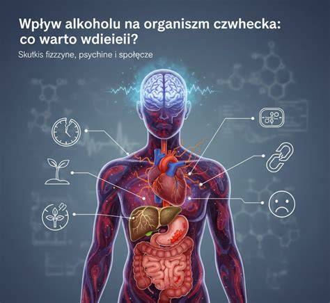 schemat przedstawiający wpływ alkoholu na zachowanie człowieka