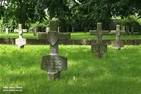 Międzynarodowy Cmentarz Wojenny w Stargardzie - widok na polską kwaterę