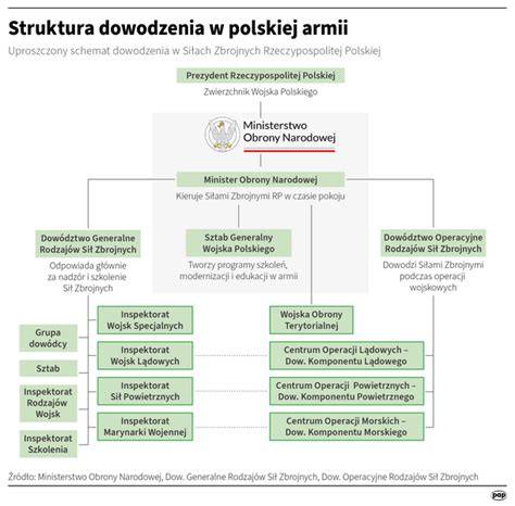 Infografika przedstawiająca strukturę Centrum Wsparcia Systemów Dowodzenia Sił Zbrojnych i jego kluczowe funkcje.