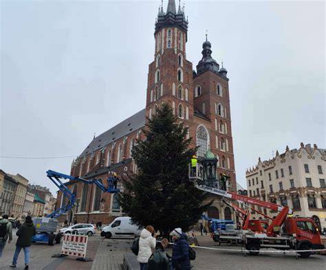 Choinki bożonarodzeniowe ustawione w holu głównym Sejmu