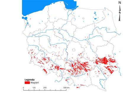 Mapa Polski z zaznaczonymi obszarami największego zagęszczenia łabędzi niemych.