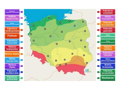 Mapa Polski z zaznaczonymi regionami o unikalnych tradycjach obchodzenia Śmigusa-Dyngusa.