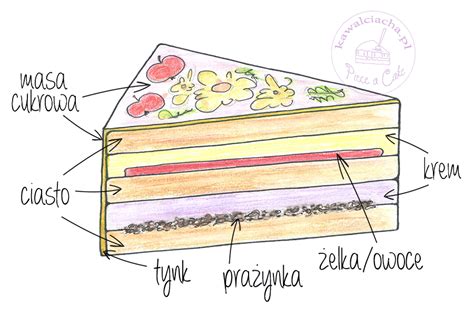 Zdjęcie przekroju tortu prezentującego warstwy biszkoptu i kremu
