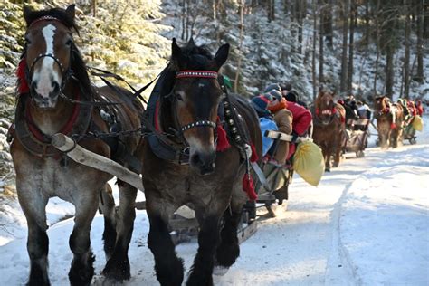zdjęcie kuligu z pochodniami