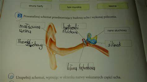 Schemat przedstawiający budowę tradycyjnego kiltu