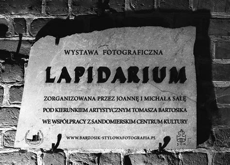 Fotografia Lapidarium pod Ratuszem w Sandomierzu