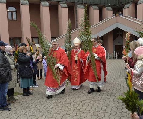Ilustracja przedstawiająca parafian niosących palmy w Niedzielę Palmową