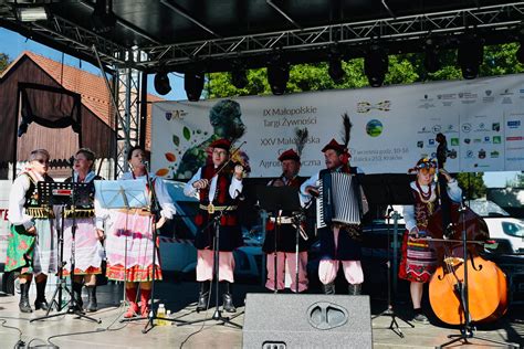 zdjęcie przedstawiające ludowy zespół folklorystyczny podczas występu na dożynkach