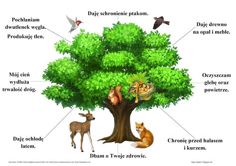 Grafika przedstawiająca drzewo życia, symbolizujące nowe życie po chrzcie.