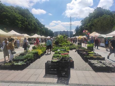 zdjęcia stoisk z roślinami na Jarmarku