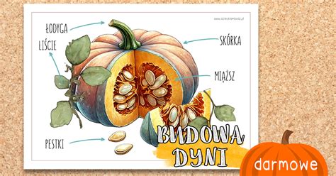 Zdjęcie przedstawiające etapy tworzenia stroju dyni dla dziecka.