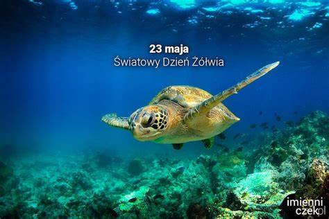 prezent na chrzest dla dziewczynki