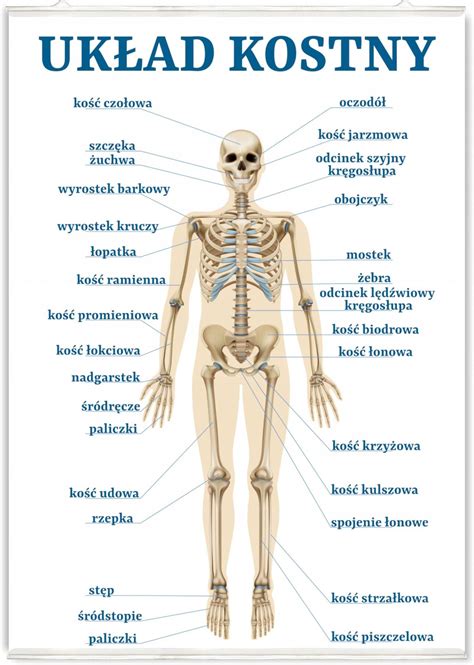 Graficzne przedstawienie symboli biblijnych związanych z czytaniami: wieża Babel, obłok i ogień, suche kości, wylewany Duch Święty.