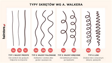 Ilustracja porównująca różne typy upięć i loków weselnych