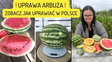 Schematyczna wizualizacja stroju arbuza z podziałem na kolory i tekstury.