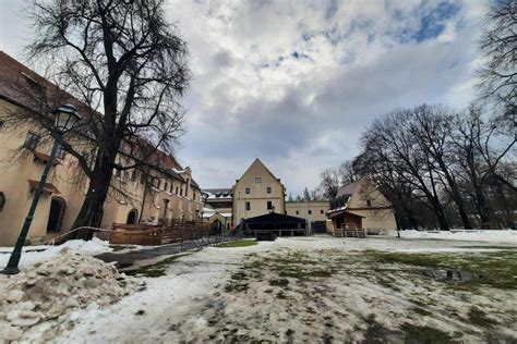 Zdjęcie żywej szopki w Gnieźnie z udziałem zwierząt i ludzi
