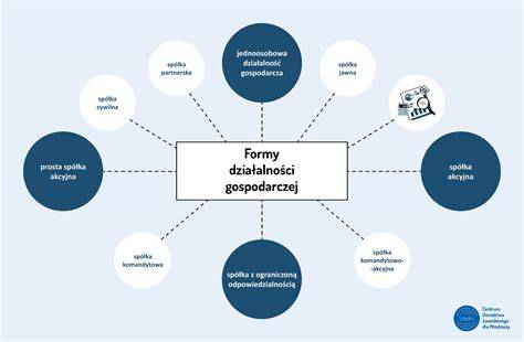 Grafika ilustrująca różne formy prowadzenia działalności - od nierejestrowanej po spółkę