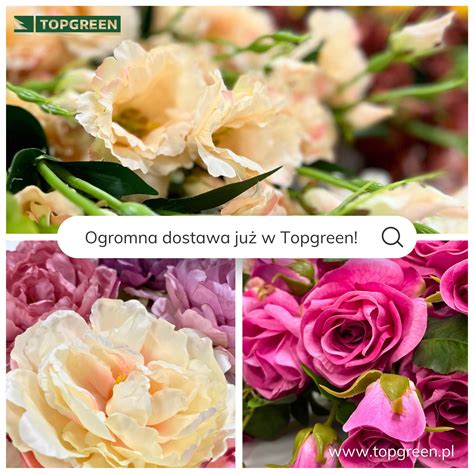 Zbliżenie na kwiaty eustomy w różnych kolorach i rozmiarach
