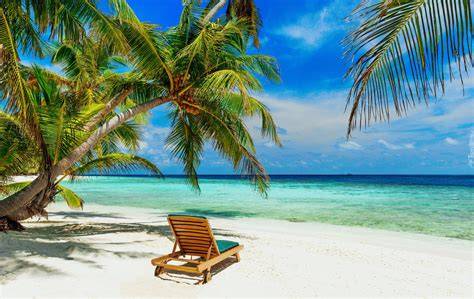 piękna, piaszczysta plaża z leżakami i palmami nad turkusowym oceanem