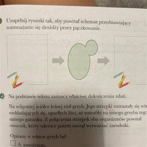 Schemat przedstawiający relację między łaską uświęcającą, uczynkową i charyzmatami