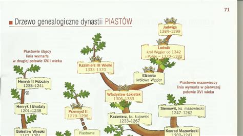 Grafika przedstawiająca drzewo genealogiczne Piastów z zaznaczonymi władcami o imieniu Bolesław.