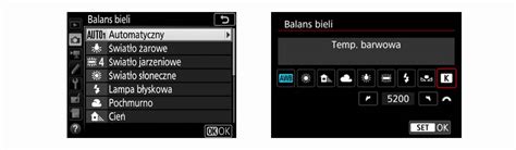Przykładowe menu ustawień balansu bieli w aparacie z ikonkami predefiniowanych ustawień