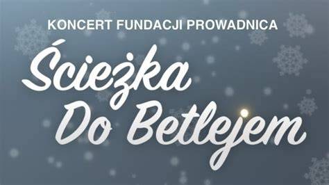 Infografika przedstawiająca główne cele Fundacji Betlejem