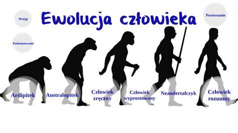 grafika ilustrująca ewolucję pojęcia 