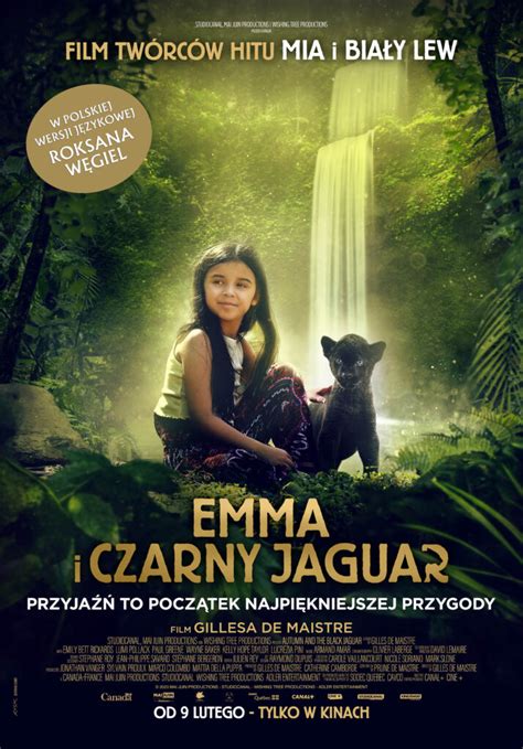 zdjęcie plakatu filmu