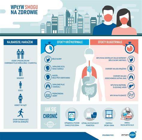 Infografika przedstawiająca przyczyny i skutki smogu