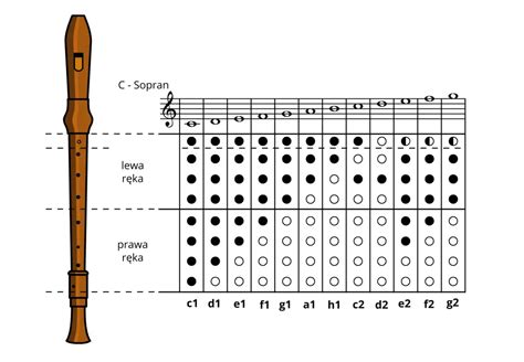 Diagram przedstawiający chwyty dla podstawowych dźwięków na flecie prostym