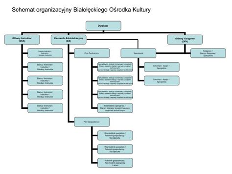 Schemat budynku Pasłęckiego Ośrodka Kultury z zaznaczeniem dostępnych i niedostępnych stref