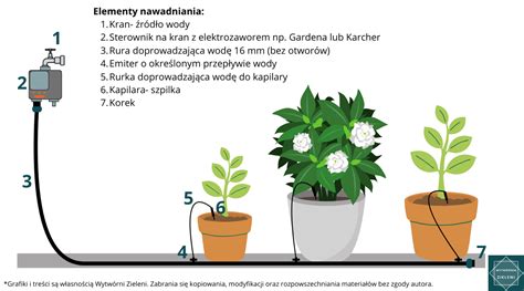Schemat montażu kwiatów na stelażu ścianki