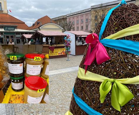 Zagroda z kurczakami na Akademickim Jarmarku Wielkanocnym