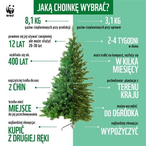 Infografika porównująca żywą choinkę w doniczce i choinkę sztuczną pod kątem ekologii, trwałości i estetyki.