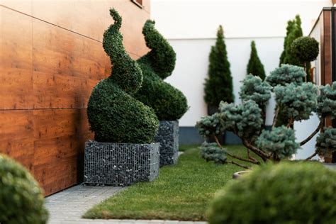 Zdjęcie przedstawiające proces tworzenia topiary z wacików, z widocznymi etapami klejenia i dekorowania.