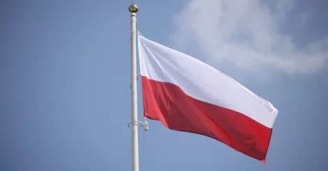 Grafika przedstawiająca układ kolorów na polskiej fladze i jej proporcje