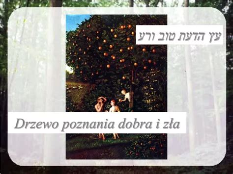 schematyczny obraz drzewa poznania dobra i zła z jabłkami