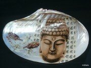 Budda - muszla połówka