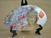 Budda I - muszla połówka